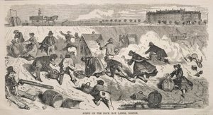 Scène sur les terres de Back Bay, Boston - Winslow Homer