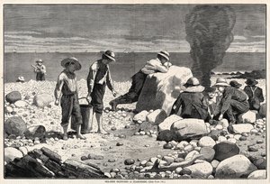  - Winslow Homer