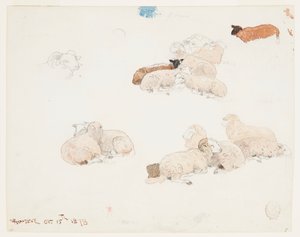 Moutons au repos