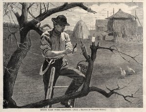  - Winslow Homer