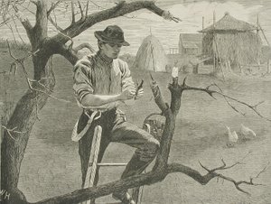  - Winslow Homer