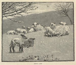 Spring Lamb, tiré de Scribner