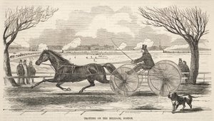 Trotter sur la digue du moulin, Boston