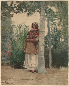 Sous un palmier