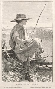 Observer les corbeaux