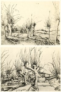 Paysages avec saules - Wolf Huber