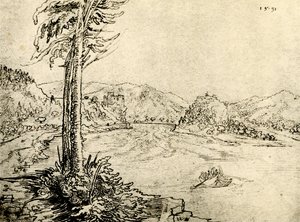 Le tourbillon du Danube à Grein