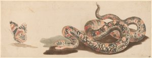Serpent et papillon
