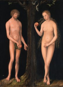 Allemand : Adam und Eva Adam et Eve - workshop of Lucas Cranach the Elder