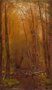 Les bouleaux des Catskills
