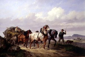 Une équipe de chevaux de trait