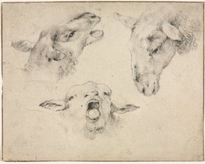 Têtes de moutons, deuxième ou troisième quart du 19e siècle