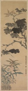 Plantes en fleurs