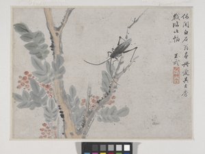 Insecte et arbre après Shen Zhou