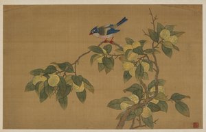 Oiseau et Fruit