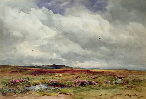 Une journée venteuse, Dartmoor