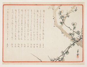 (Fleurs de prunier)