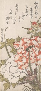 Pivoines et iris
