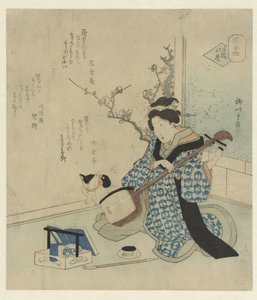 Geisha accordant son shamisen