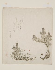 (impression sur bois en couleur) - Yashima Gakutei
