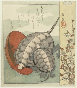Tortues avec coupe de saké