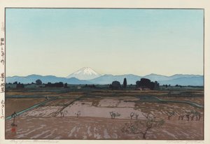 Fuji de Musashino