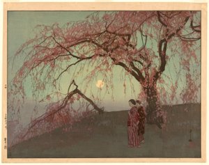 Cerisier Kumoi (Kumoi sakura)
