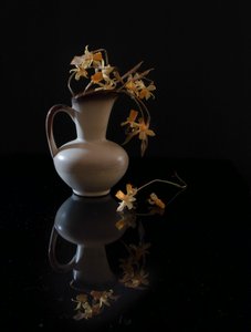 - Yuanwei Zuo APA