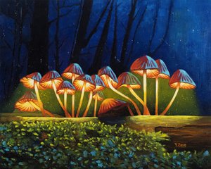 Champignons lumineux de nuit, 2023 - Yue Zeng