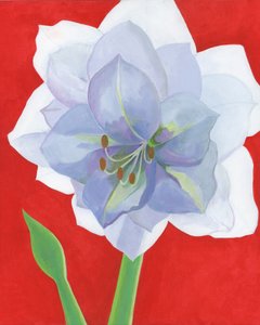  - Yvonne Gustafsson