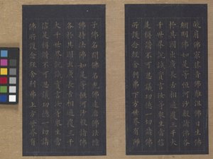 Sutra de la vie éternelle (Wu Liang Shou Jing) 1837