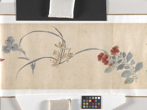 Fleurs colorées - Zhimian Zhou