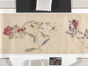 Fleurs colorées - Zhimian Zhou