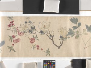 Fleurs colorées - Zhimian Zhou
