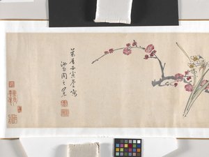 Fleurs colorées