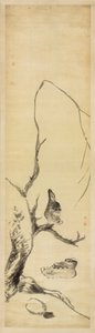 Oiseaux et canards