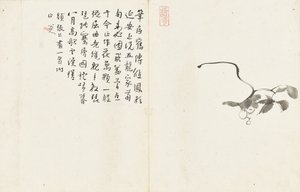 Paysages et fleurs, album de six feuilles