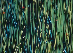 Composite, fibre de carbone PMC dans une matrice polymère - Frederick (attr. to) Barnard
