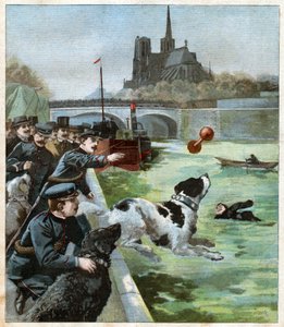 Chien sauveteur - John Pardon