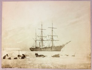 Expédition en Arctique (1875-1876) du capitaine George Nares (1831-1915) : H