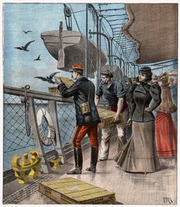 Expériences avec des pigeons voyageurs