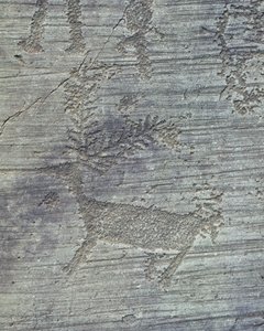 Vallée de Camonica, pétroglyphes sur roche - Isabel Redie