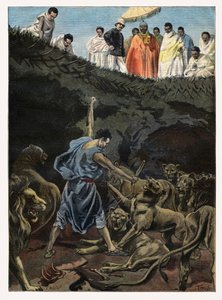 Lions de Ménélik II - . .