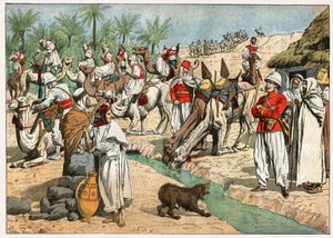 Oasis dans le désert du Sahara