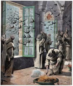 Sauvetage des hirondelles - . .