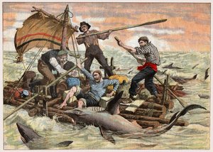 Attaque de requins