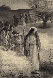 Jésus et ses disciples dans le champ de blé