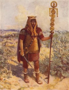 Un Porte-étendard sur le terrain