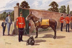 Le mulet et le singe de compagnie du Middlesex Regiment