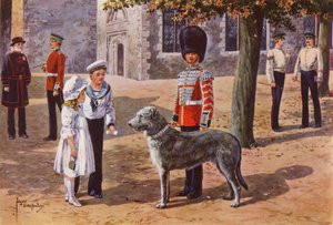 Le loup irlandais de compagnie des Irish Guards à la Tour de Londres